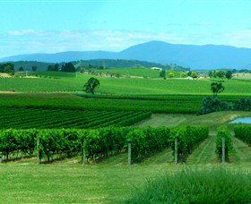 Acacia Ridge Vineyard - Tourism Cairns 0