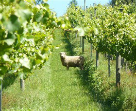 Passing Clouds - Tourism Cairns 0