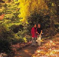 George Tindale Memorial Gardens - Tourism Cairns