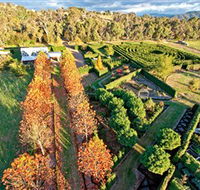 High Country Maze - Tourism Cairns