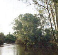 Banksia Park - Tourism Cairns