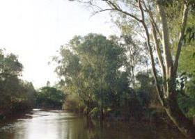 Banksia Park - Tourism Cairns 0