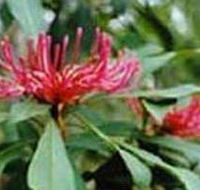 Alfred National Park - Tourism Cairns