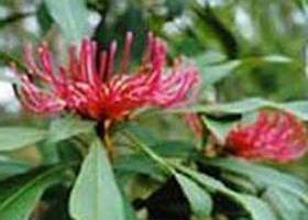 Alfred National Park - Tourism Cairns 0