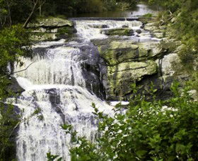 Agnes Falls Scenic Reserve - Tourism Cairns 0