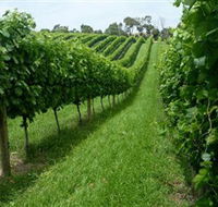 The Cups Estate - Tourism Cairns