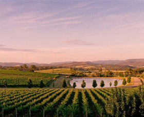 Oakridge Wines - Tourism Cairns 0