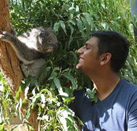 Healesville Sanctuary - Tourism Cairns