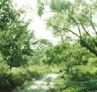 Holey Plains State Park - Tourism Cairns