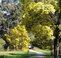 Wattle Park - Tourism Cairns