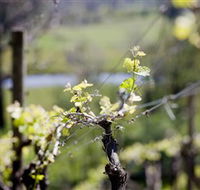 Eldridge Estate of Red Hill - Tourism Cairns