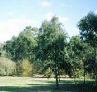 Sweeneys Flat - Tourism Cairns