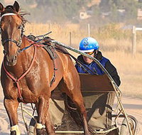 Ballarat  District Trotting Club - Tourism Cairns