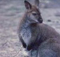 Churchill National Park - Tourism Cairns