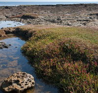 Ricketts Point Marine Sanctuary - Tourism Cairns