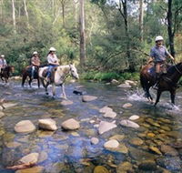 Howqua Hills Historic Area - Tourism Cairns