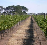 Mount Beckworth Wines - Tourism Cairns