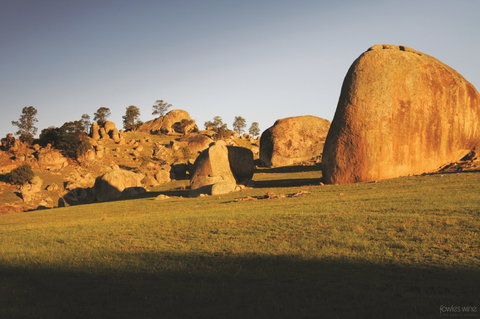 Fowles Wine - Tourism Cairns 3