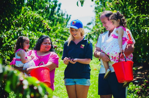 Cherryhill Orchards - Tourism Cairns 1