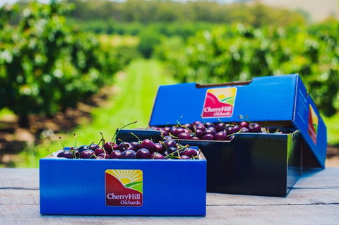 Cherryhill Orchards - Tourism Cairns 3
