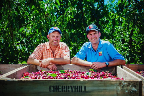 Cherryhill Orchards - Tourism Cairns 5