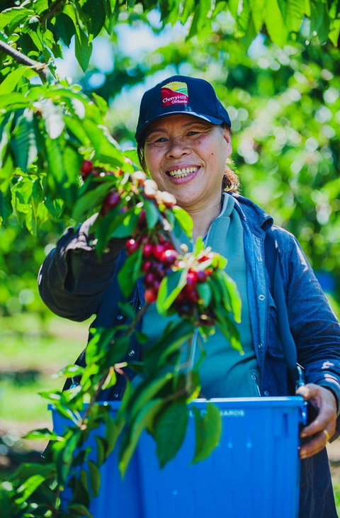 Cherryhill Orchards - Tourism Cairns 11