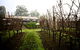 GREENSTONE VINEYARDS - thumb 4