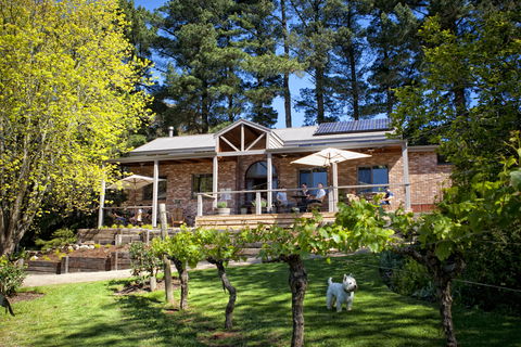 Main Ridge Estate - Tourism Cairns 2
