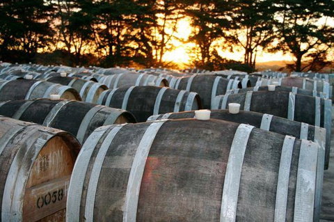 Dromana Estate - Tourism Cairns 9