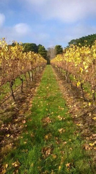 Dromana Estate - Tourism Cairns 11