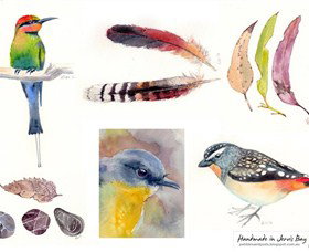 Pebbles And Pods - Tourism Cairns 0