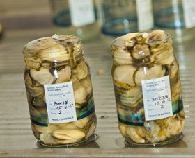 Broadwater Oysters - Tourism Cairns 0