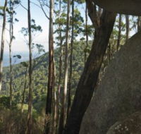Gulaga National Park - Tourism Cairns