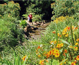 Bonaira Native Gardens - Tourism Cairns 0