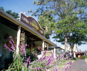 Passionfish Candles - Tourism Cairns 0