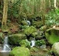 Budderoo National Park - Tourism Cairns