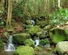 Budderoo National Park - Tourism Cairns 0