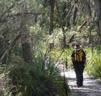 Barren Grounds Nature Reserve - Tourism Cairns