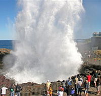 Kiama Blowhole - Tourism Cairns