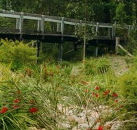 Eurobodalla Botanic Gardens - Tourism Cairns