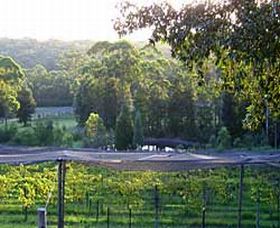 Lyrebird Ridge Organic Winery - Tourism Cairns 0