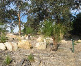 Curtis Park Arboretum - Tourism Cairns 0