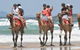 Camel Rides With Coffs Coast Camels - thumb 0