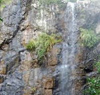 Wedding Bells Forest Drive - Tourism Cairns