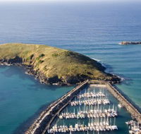 Muttonbird Island Nature Reserve - Tourism Cairns