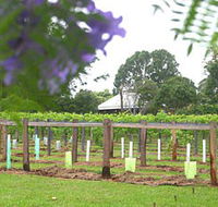 Douglas Vale Historic Homestead  Vineyard - Tourism Cairns