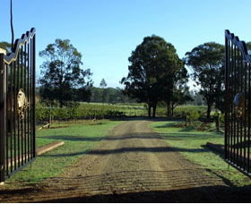 Moorebank Private Vineyard - Tourism Cairns 3
