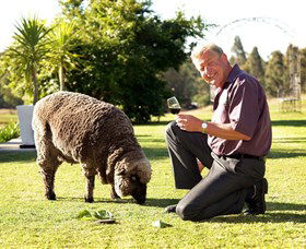 Moorebank Private Vineyard - Tourism Cairns 2