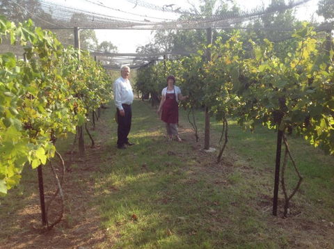 Holland Wines - Tourism Cairns 8