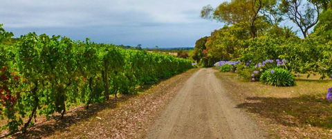 Merricks Estate - Tourism Cairns 1